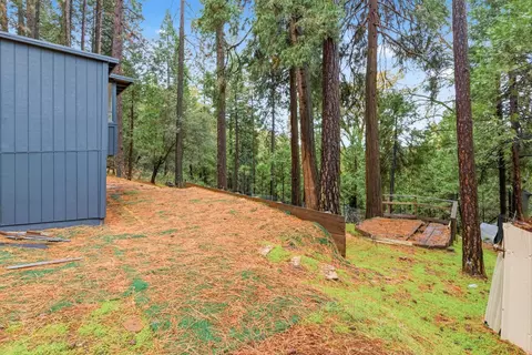 19159 Allan Rd, Volcano, CA 95689 photo 25