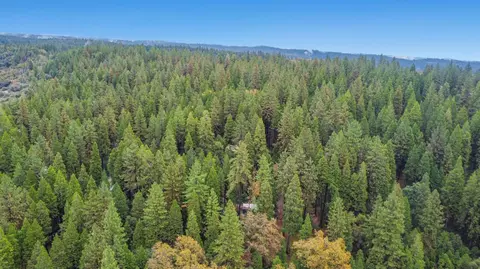 19159 Allan Rd, Volcano, CA 95689 photo 22