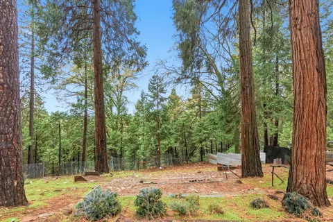 19159 Allan Rd, Volcano, CA 95689 photo 23