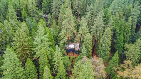 19159 Allan Rd, Volcano, CA 95689 photo 21