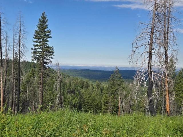 4898 Creekside, Grizzly Flats, CA 95240