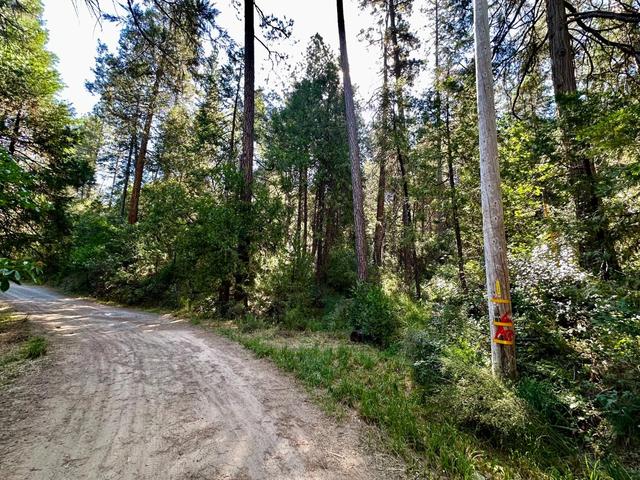 0 Dean Rd, Somerset, CA 95684