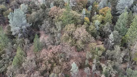 17022 Brewer Rd, Grass Valley, CA 95949 photo 6