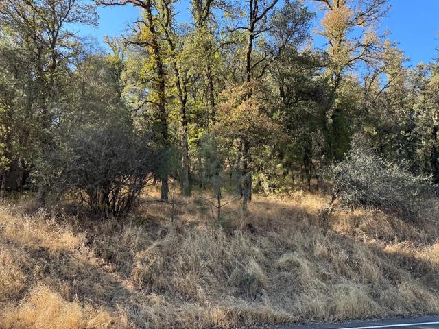 17022 Brewer Rd, Grass Valley, CA 95949