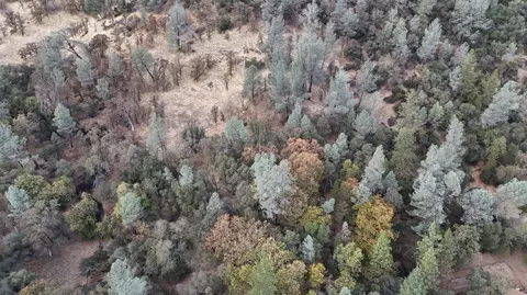 17022 Brewer Rd, Grass Valley, CA 95949 photo 7