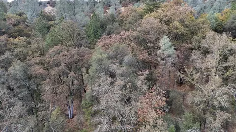 17022 Brewer Rd, Grass Valley, CA 95949 photo 4