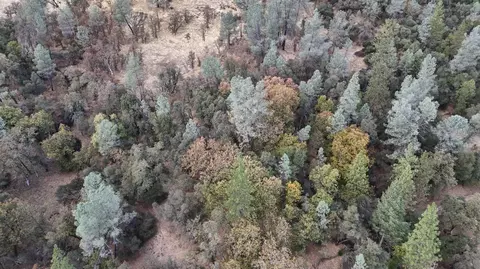 17022 Brewer Rd, Grass Valley, CA 95949 photo 5