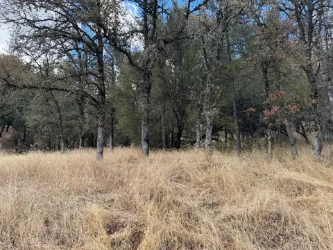 17022 Brewer Rd, Grass Valley, CA 95949 photo 3
