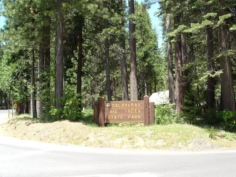 Exterior - 149 Creekside Dr, Camp Connell, CA 95223 photo 10 of 10