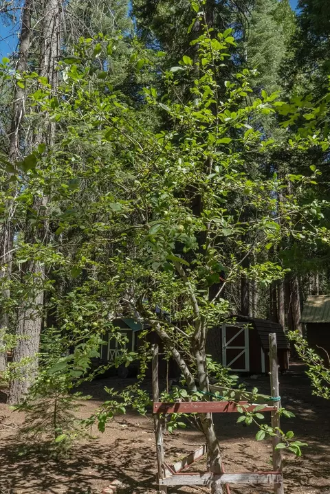 Exterior - 149 Creekside Dr, Camp Connell, CA 95223 photo 9 of 10