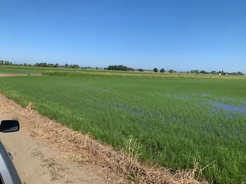 0 10658 Fasig Rd, Meridian, CA 95957