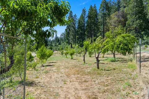 1237 Cable Rd, Camino, CA 95709 photo 56