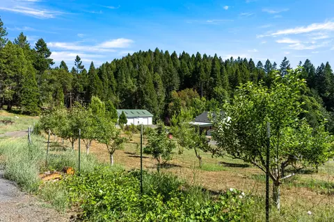 1237 Cable Rd, Camino, CA 95709 photo 6