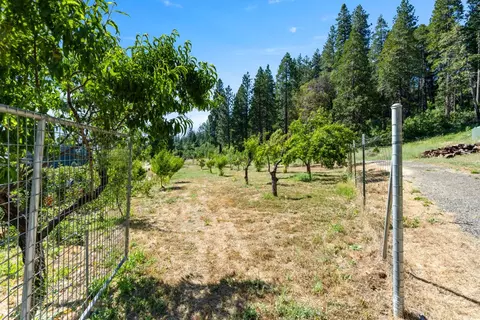1237 Cable Rd, Camino, CA 95709 photo 57
