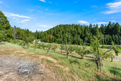 1237 Cable Rd, Camino, CA 95709 photo 62