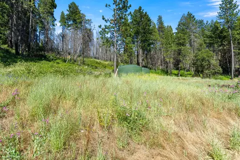 1237 Cable Rd, Camino, CA 95709 photo 63