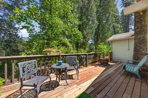 1007 Sage Rd, Colfax, CA 95713 photo 46