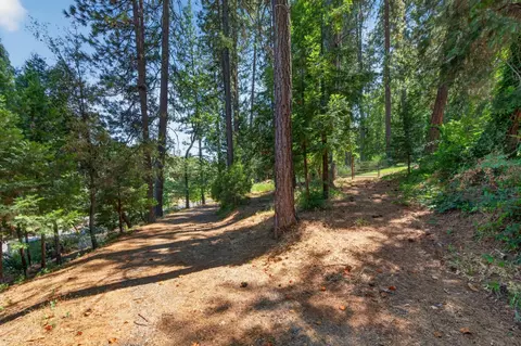 1007 Sage Rd, Colfax, CA 95713 photo 50