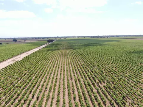 20271 N Devries Rd, Lodi, CA 95242 photo 8