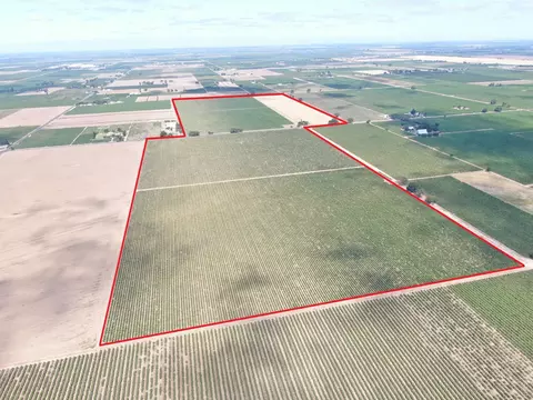 20271 N Devries Rd, Lodi, CA 95242 photo 2