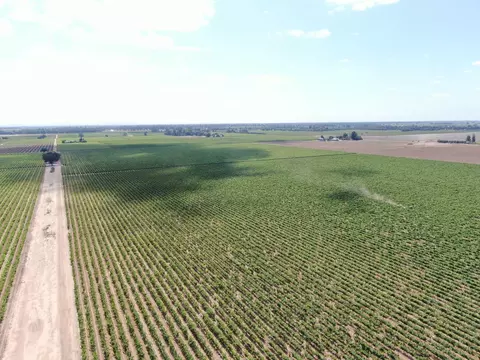20271 N Devries Rd, Lodi, CA 95242 photo 3