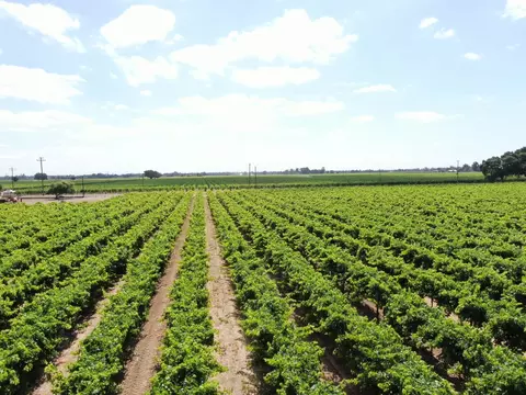 20271 N Devries Rd, Lodi, CA 95242 photo 6