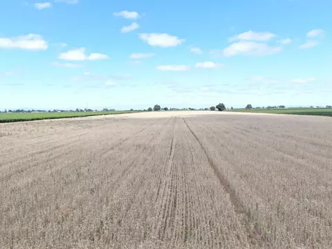 20271 N Devries Rd, Lodi, CA 95242 photo 11