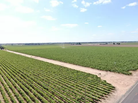 20271 N Devries Rd, Lodi, CA 95242 photo 7