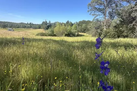 Other - 7436 Eagle View Dr, Mountain Ranch, CA 95246 photo 11 of 15