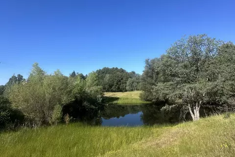 View/Area - 7436 Eagle View Dr, Mountain Ranch, CA 95246 photo 2 of 6