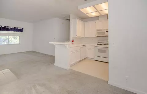 Living - 1045 Greene Ter, Davis, CA 95618 photo 4 of 5