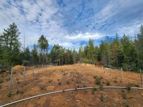 3030 Springwood, Georgetown, CA 95634