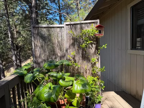 Exterior - 424 Catskill Dr, Colfax, CA 95713 photo 3 of 9