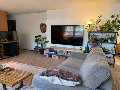 Living - 424 Catskill Dr, Colfax, CA 95713 photo 2 of 4