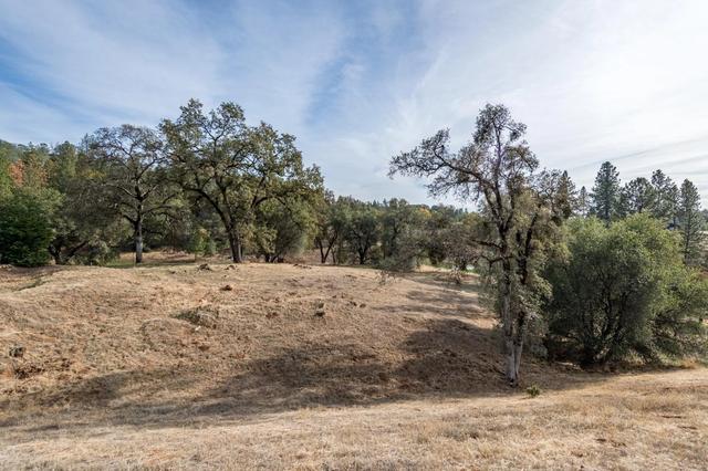 12974 Austin Forest Cir, Auburn, CA 95602