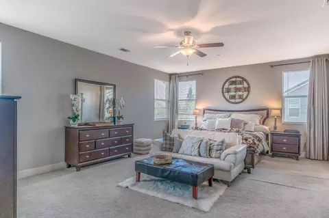 1680 Dedini Ln, Ripon, CA 95366 photo 31
