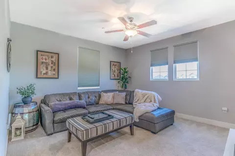 1680 Dedini Ln, Ripon, CA 95366 photo 24