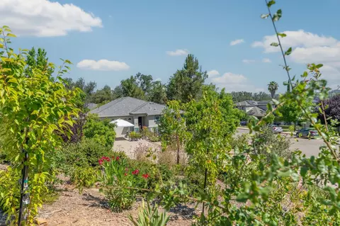Exterior - 705 Kristi Ct, Jackson, CA 95642 photo 13 of 16