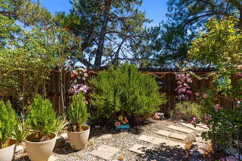 Exterior - 705 Kristi Ct, Jackson, CA 95642 photo 7 of 24
