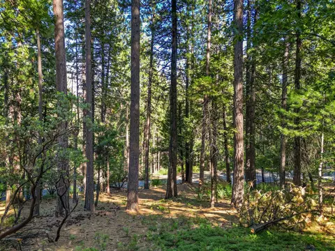 2946 Venado Dr, Arnold, CA 95223 photo 2