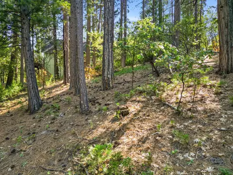 2946 Venado Dr, Arnold, CA 95223 photo 3