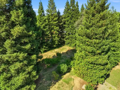 3012 Root Ave, Carmichael, CA 95608 photo 74