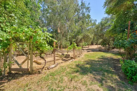 Exterior - 4335 Walnut Ave, Carmichael, CA 95608 photo 13 of 22