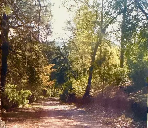 Other - 3558 Sheep Ranch Rd, Murphys, CA 95247 photo 1 of 6