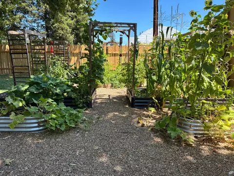 Exterior - 1613 W Biggs Gridley Rd, Gridley, CA 95948 photo 3 of 9