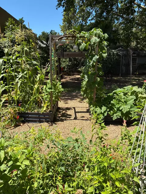 Exterior - 1613 W Biggs Gridley Rd, Gridley, CA 95948 photo 7 of 9
