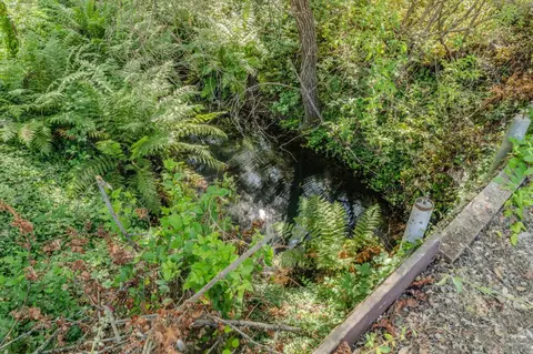 6240 Michel Rd, Mountain Ranch, CA 95246 photo 70