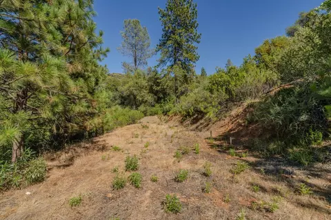 6240 Michel Rd, Mountain Ranch, CA 95246 photo 63