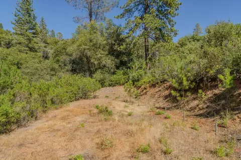 6240 Michel Rd, Mountain Ranch, CA 95246 photo 64