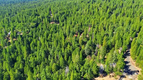 View/Area - 3213 Running Quail Ct, Placerville, CA 95667 photo 3 of 6
